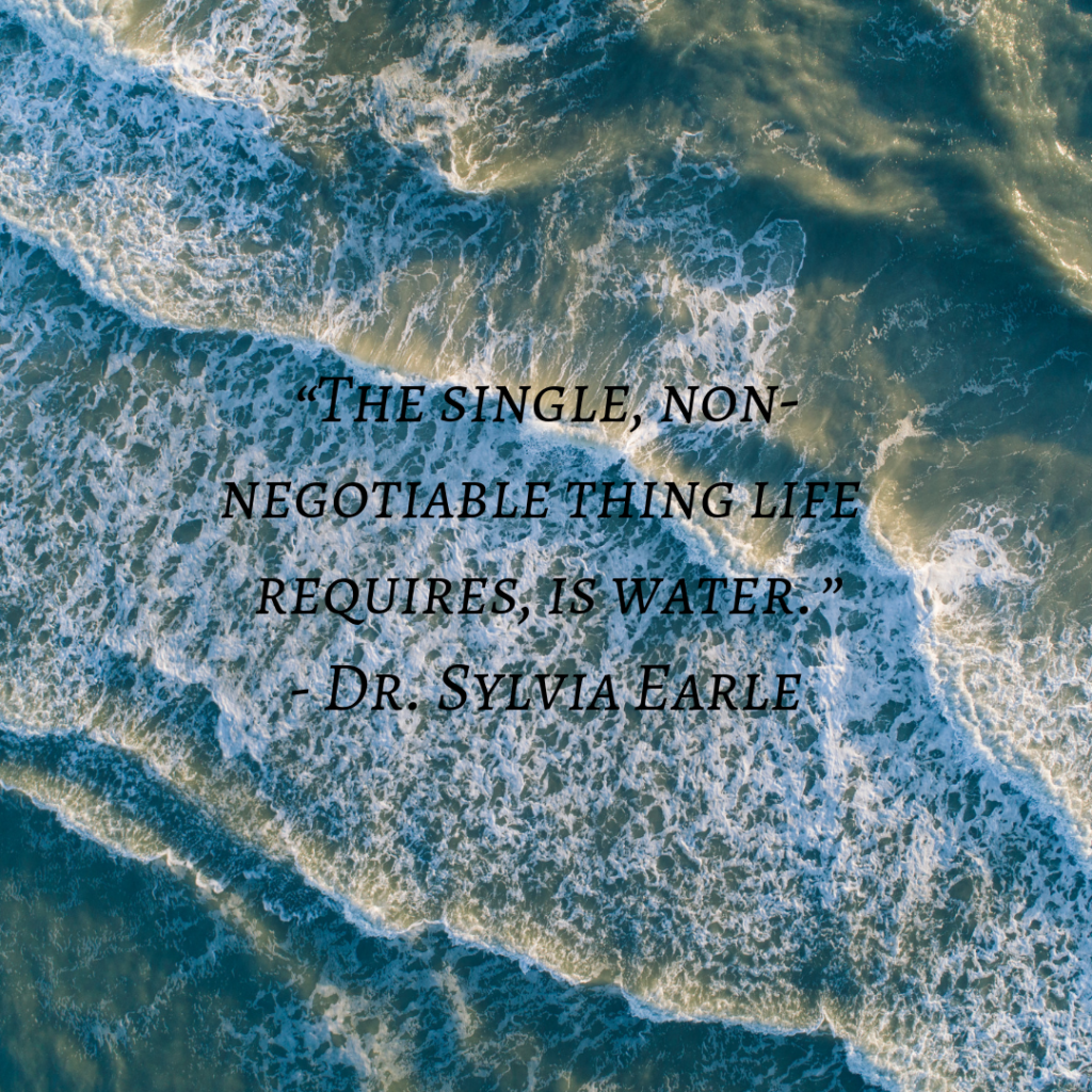 a quote from Dr. Sylvia Earle's book The World Is Blue.