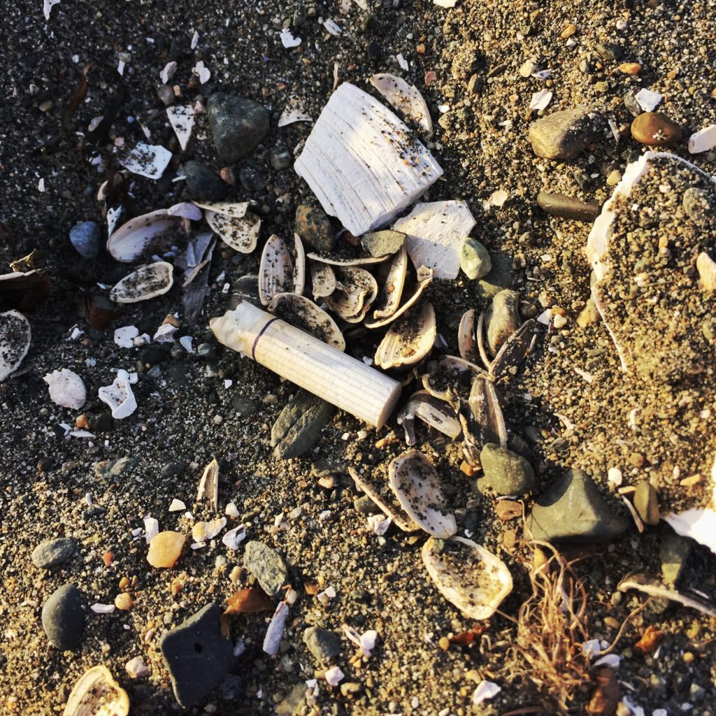 cigarette butt found on Crescent Beach, Surrey BC