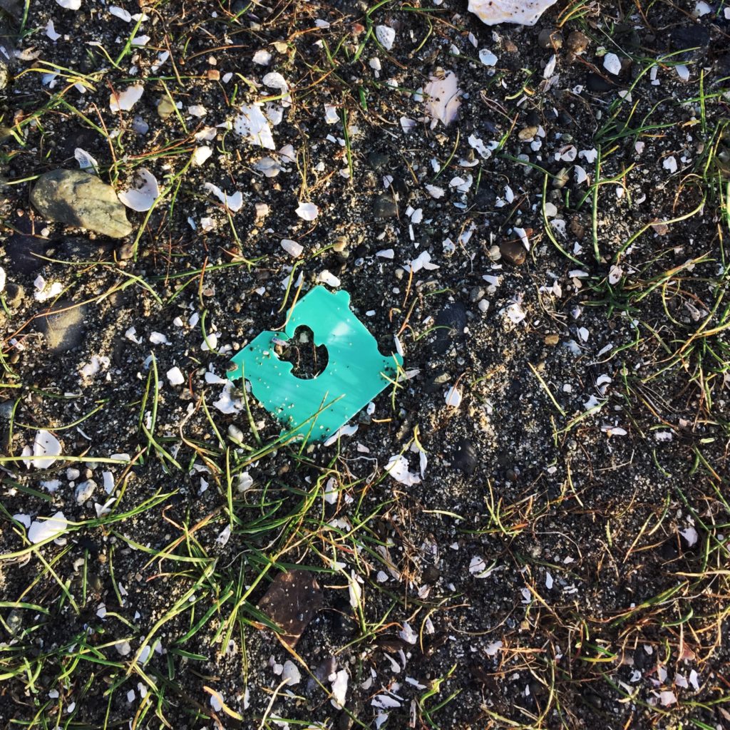 green bread bag tie litter Crescent Beach in Surrey, BC.