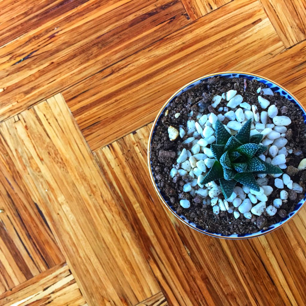 top down photo of a table made of repurposed chopsticks, with a potted succulent on top