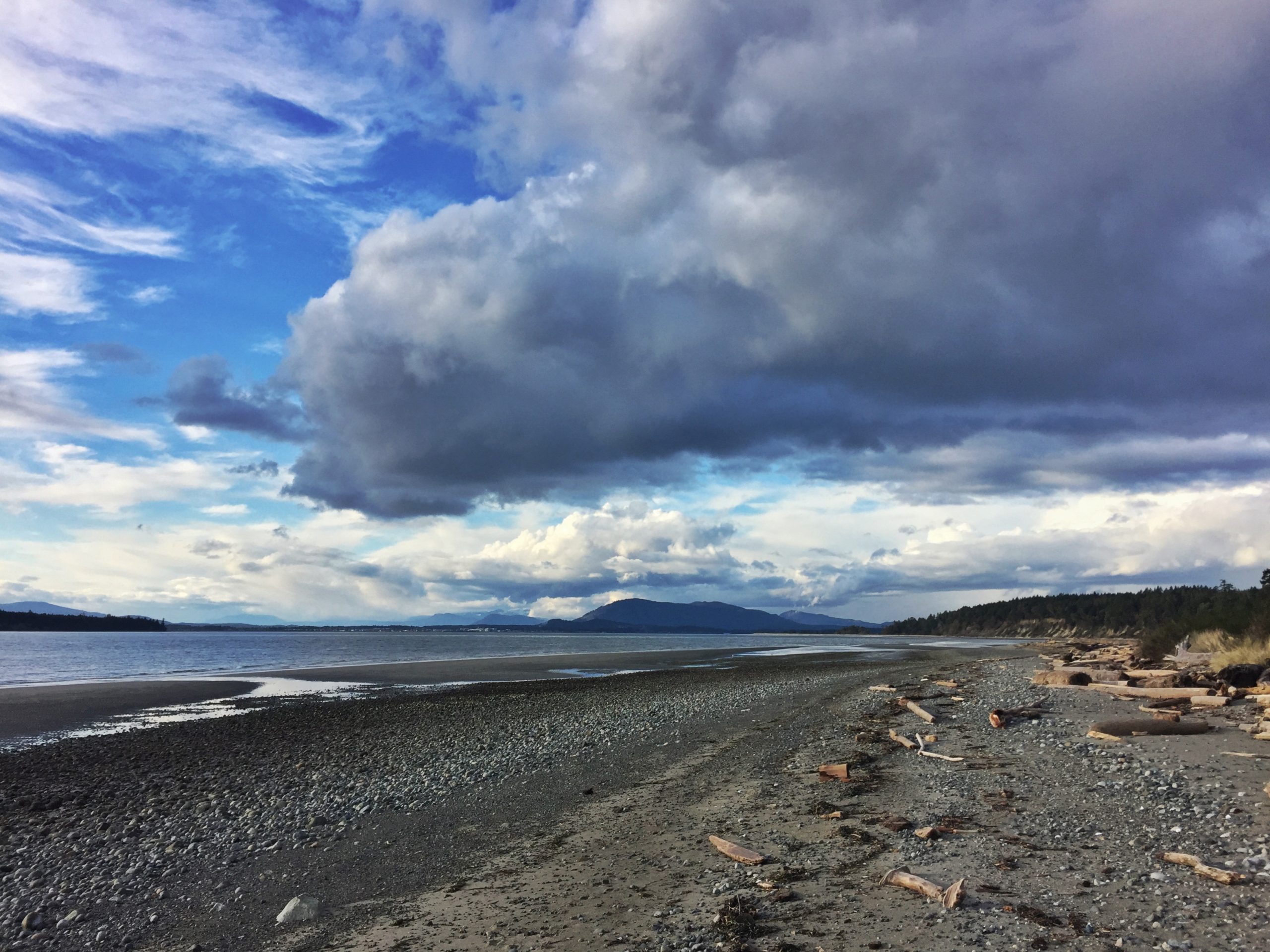Photo depicts the coast of Sidney Island in the Southern Gulf Islands of British Columbia's Pacific Coast. The ocean meets a sandy beach covered in driftwood while overhead stormy clouds roll in.