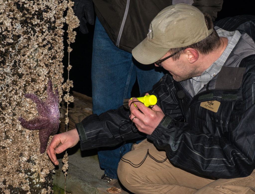 Jeff Adams from the Washington Sea Grant holds his right hand up to a purple sea star, holding a yellow flashlight in his left hand.