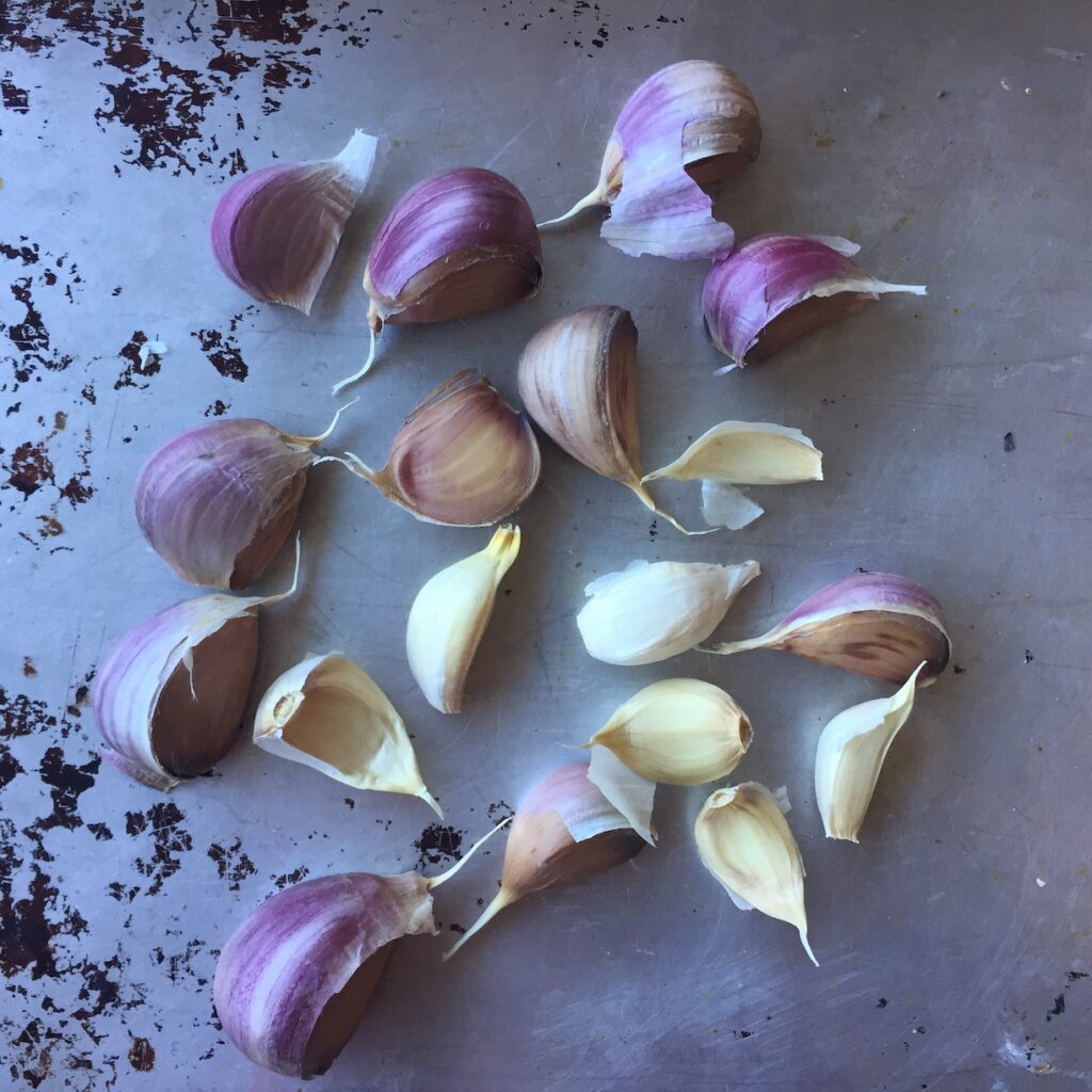 A close-up of garlic cloves on a baking sheet, ready for planting.
