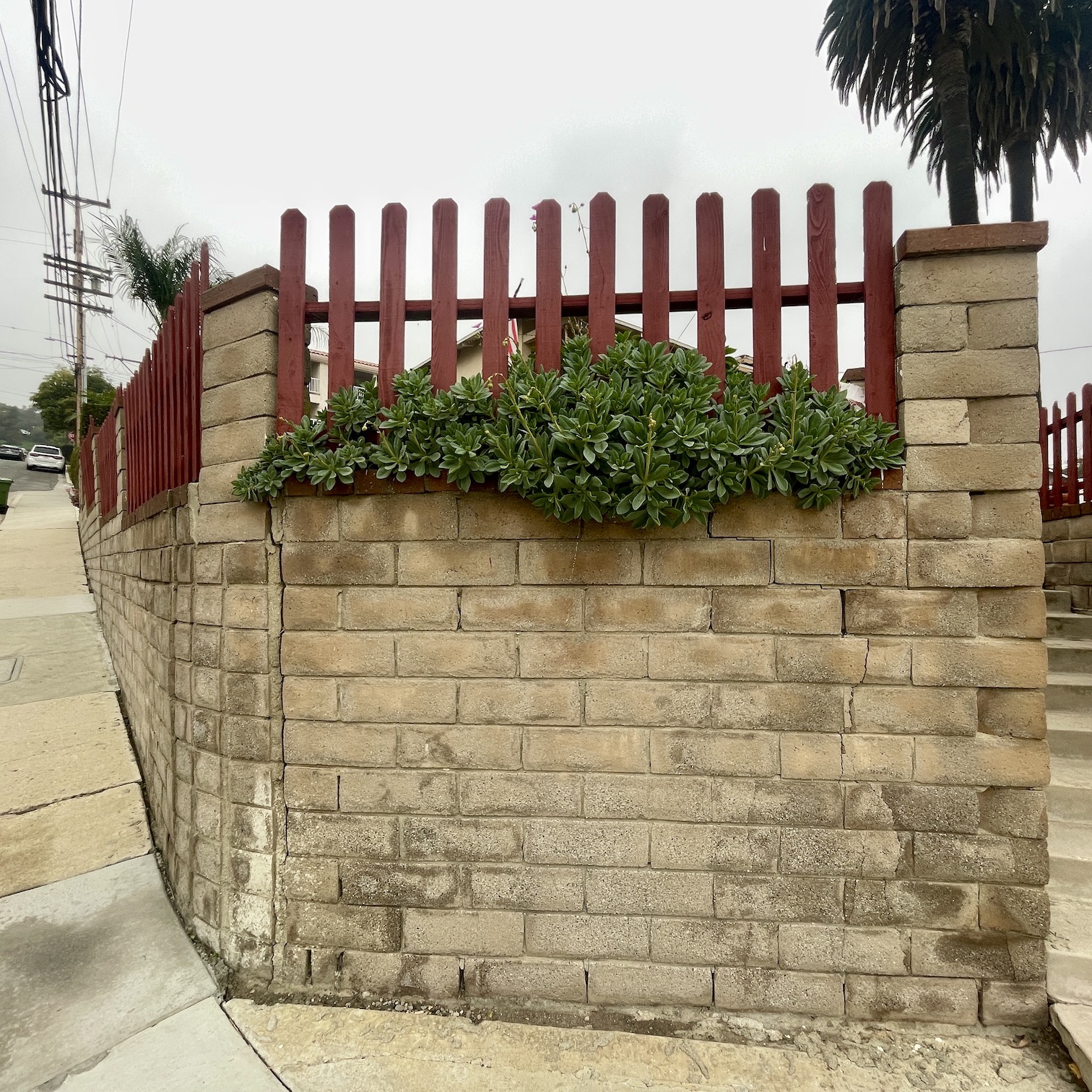 A red fence seen on top of a cinderblock wall against a sidewalk, with green succulents in between.