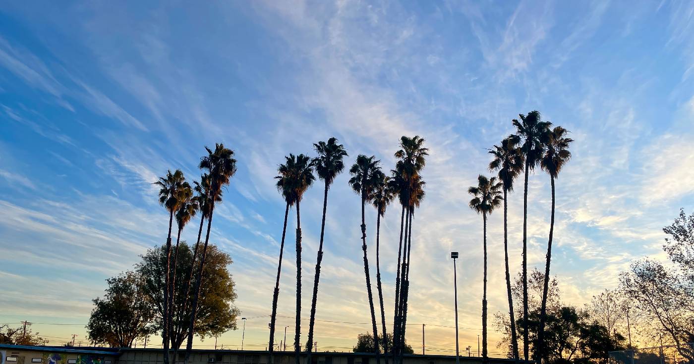 Palm trees stand against an orange-blue sunrise sky.
