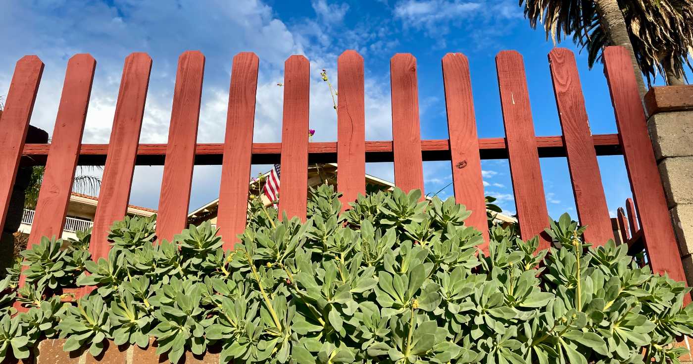 A red fence against a blue sky with green succulents underneath.