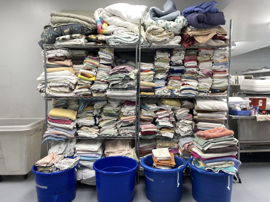 Two wire racks full of folded pillow cases and bed sheets, with four blue tubs on the floor, also filled with laundry