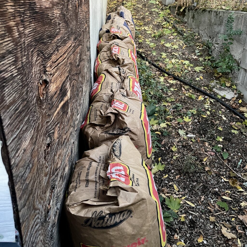 Seven paper bags full of leaves.
