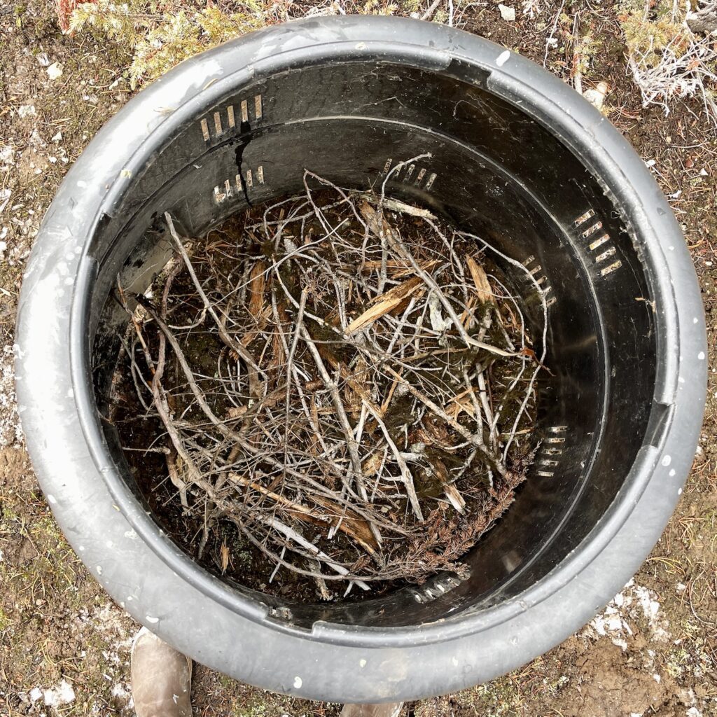 A black home composter is seen from a top-down view, looking down at a pile of twigs inside of it.