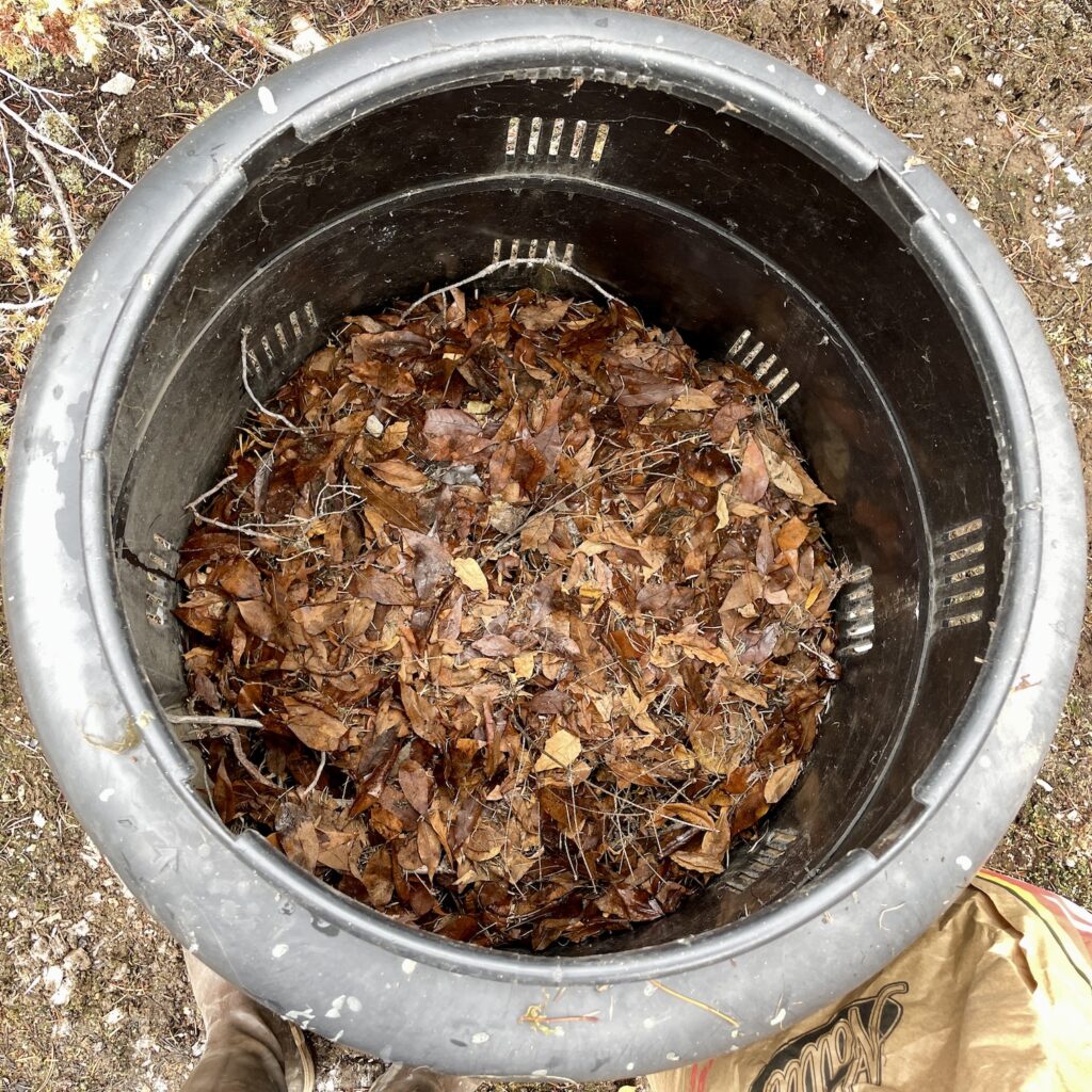 A black composter is shown from a top-down view, mostly empty with a layer of leaves at the bottom.